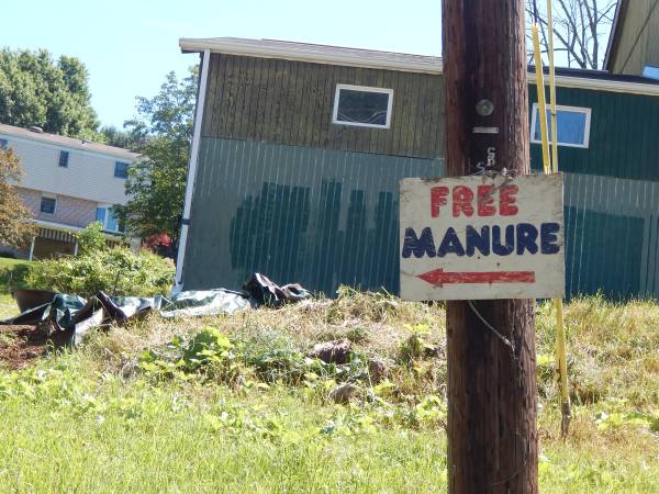Free Horse Manure great for plants & gardens 1