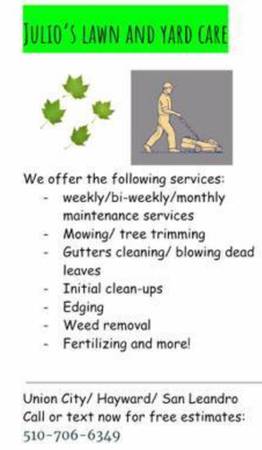 Julio's Lawn care and yard services 1