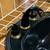 3 Piece Moen Sink Faucet Set - Black & Gold 4 thumbnail
