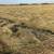 GRASS HAY 3 thumbnail