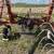 H&S 12 Wheel Finger Rake 2 thumbnail