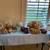 50% off Eclectic Almaden Estate Sale Oct 27 2 thumbnail