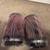 A5000C 2 New Red Performance Air Filters 3 thumbnail
