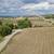 3333 N Frontage Rd, 2 Lots 16 thumbnail