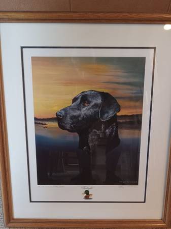 Singed LloydHovland print 1