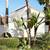 Carlsbad 1B Near the Beach | Large Patio, Community Courtyard & More 14 thumbnail