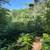 LAND ON SACO RIVER 1 thumbnail
