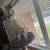 blue eyes silver bengal/ ragdoll cat 7 thumbnail
