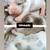 XL American Bully 2 thumbnail