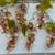 Hand made beautiful acrylic grape clusters set of 6 1 thumbnail