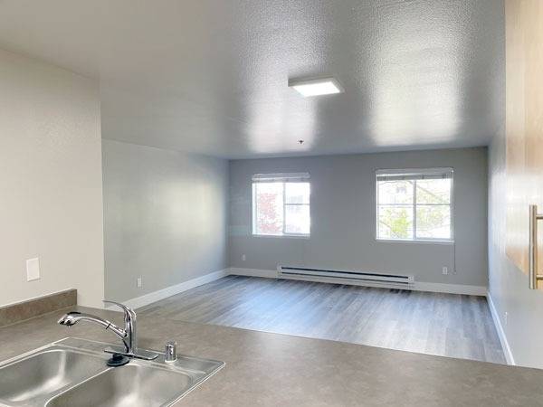 $2,395 / 2br - 773ft2 - Must see! 2 bedroom apt, In-home W/D, Modern kitchen, Large closets (Seattle, Capitol Hill, First Hill)63852579733121122