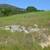 Napa Wine Country Gem 7 thumbnail