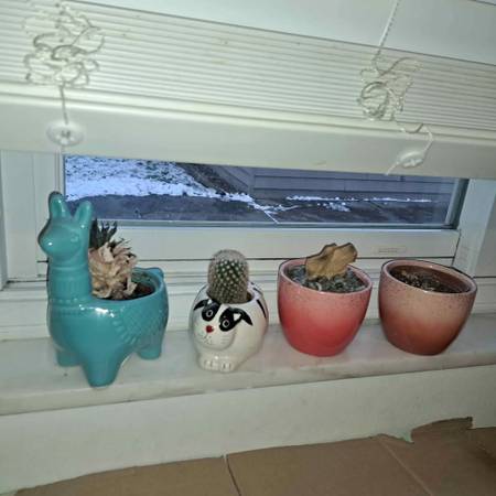 (4) Planters! All for $20 1