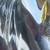 propeller 4 thumbnail