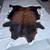 Large Brazilian hides 8 thumbnail