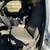 2008 ford f450 dump truck 10 thumbnail