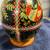 ostrich egg 2 thumbnail