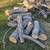 FREE Firewood, Tree Logs & Branches – Pickup Only 1 thumbnail