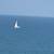 31 Hunter SailBoat 11 thumbnail