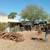 ❎Raul's Cactus and Tree and Service 520 304 3677 4 thumbnail