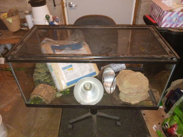 36x18x17 Reptile Tank Setup – Glass Terrarium w/ Lamps, Rocks, Bedding 1