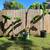 Banana trees 5 thumbnail