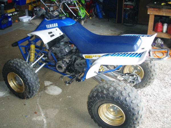 Warrior 1