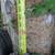 1 x 40 & 1 x 30 Foot Telephone Utility Pole (2 poles total) 8 thumbnail