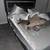 female tabby cat with necessities rehome 5 thumbnail