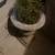 Clay Planter 8 thumbnail