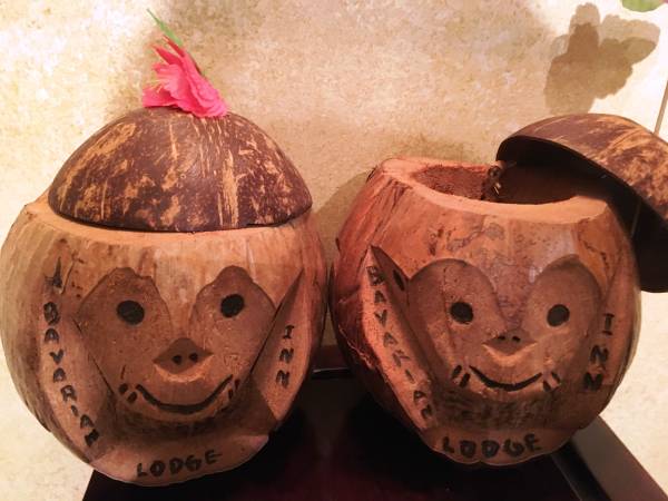 PAIR TIKI COCONUT MONKEY BANK/DRINK CONTAINER 1