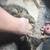 Super CUTE Kitties 16 thumbnail