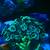 Coral Frags 3 thumbnail