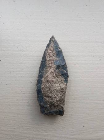 Dart 1