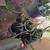 Dragon plants, Fig tree, Pomegranate tree 1 thumbnail