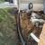Land clearing,log split,tree work,trimming,Mulch &More 610-961-2045 23 thumbnail