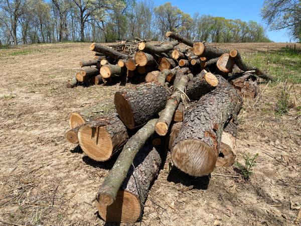 Fire wood and hardwood logs for sale - $100 (Whitehall)63471096403713123