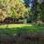 Urgent lease take over (with reward)  3bdr detached house in Davis 15 thumbnail