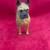 Boxer Tawny Dog Figurine by Conversation Concepts DF33B 2 thumbnail