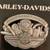 gift RARE HARLEY DAVIDSON 100TH ANNIVERSARY FRANKLIN PIN AND COIN SET 5 thumbnail