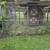 Kennel/Fence 7 thumbnail
