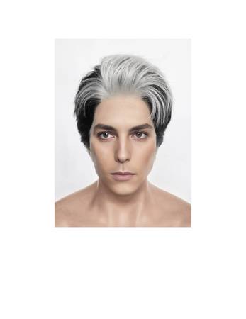 Wig 1