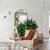 Modern, 2BD/1BA, 10 Mins To Hosp, Pet Friendly 9 thumbnail