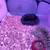 Guinea pig with cages 2 thumbnail