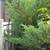 Professional Outdoor Service's 18 thumbnail