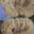Texture Brush 4 thumbnail