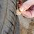 Good tires 2 thumbnail