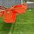 Kubota L2245 Bucket 4 in 1, 72” wide. Skid steer attachment. Used one year 1 thumbnail