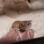 Leopard gecko 1 thumbnail