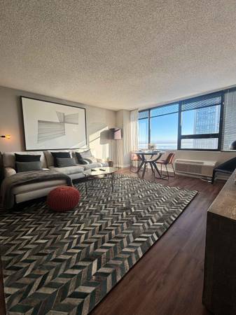 South Loop 1 bedroom w ss kitchen, walk in closets, & private pool 1